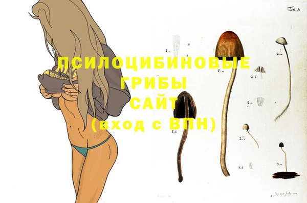 кристаллы Козловка