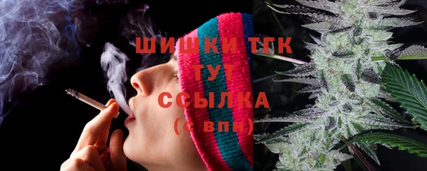дмт Кодинск