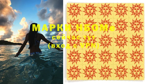 дмт Кодинск