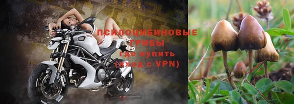 не бодяженный Козельск